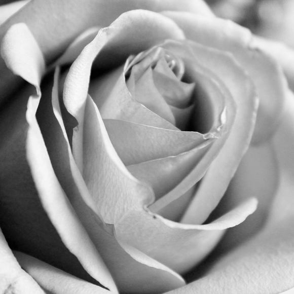 Meet your Posher, Annette - Picture 1 of 1